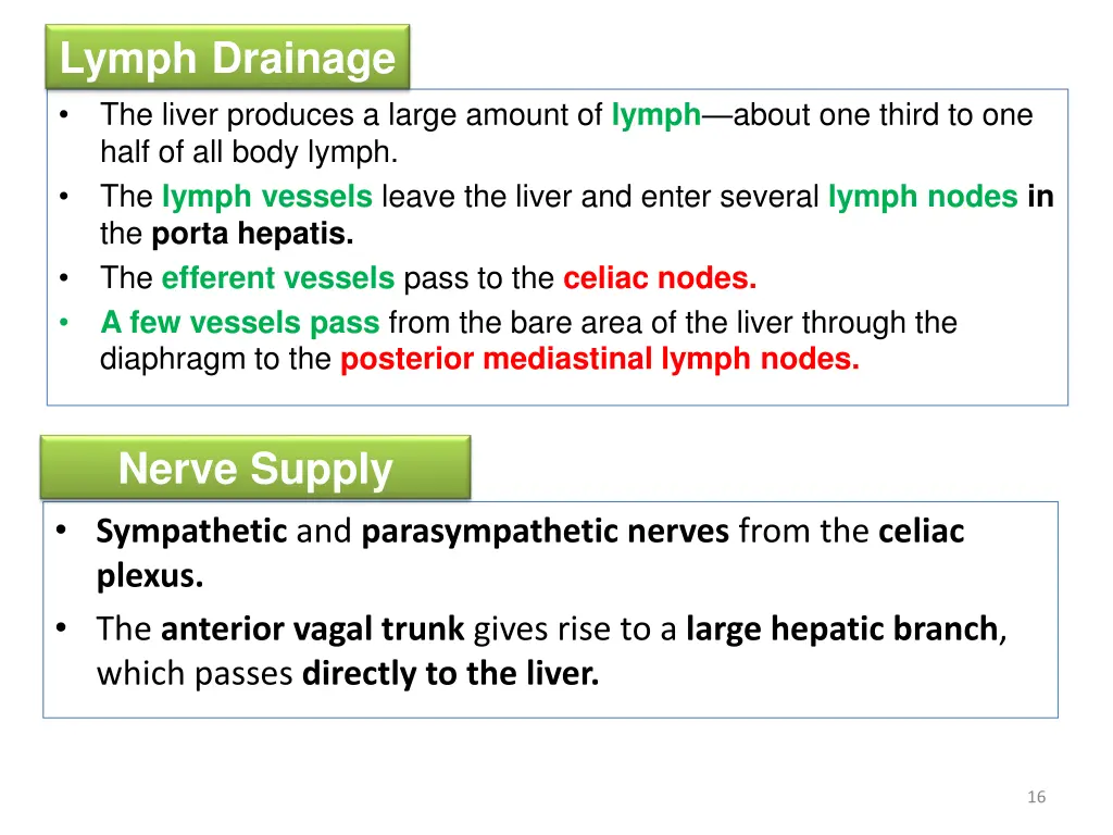 lymph drainage