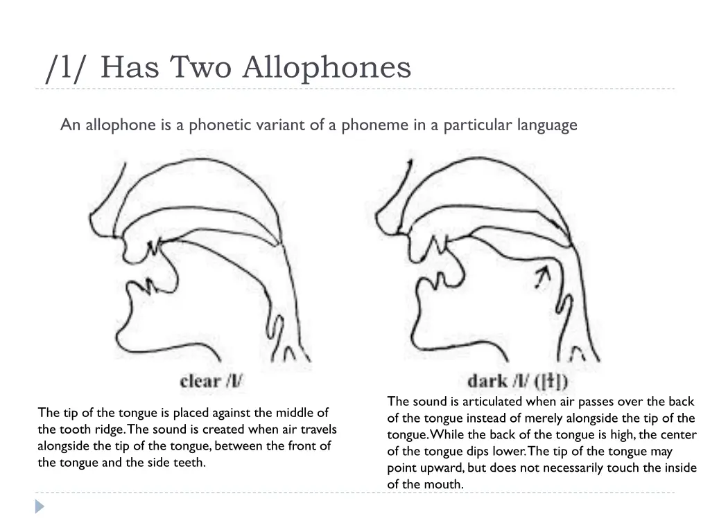 l has two allophones