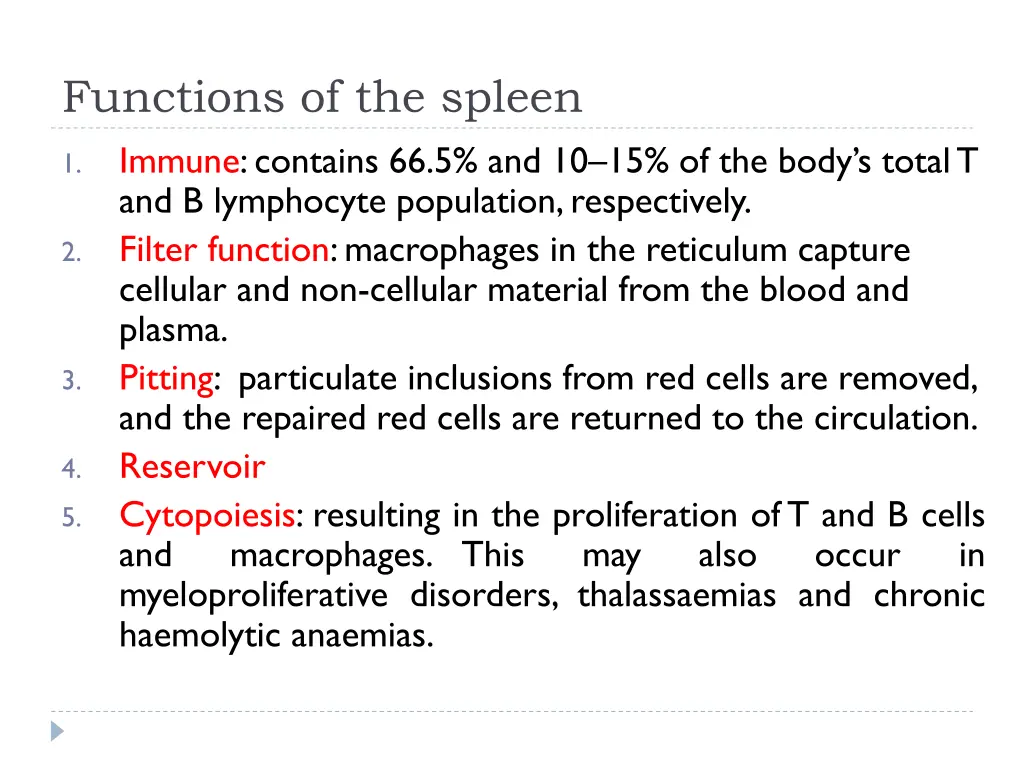 functions of the spleen immune contains