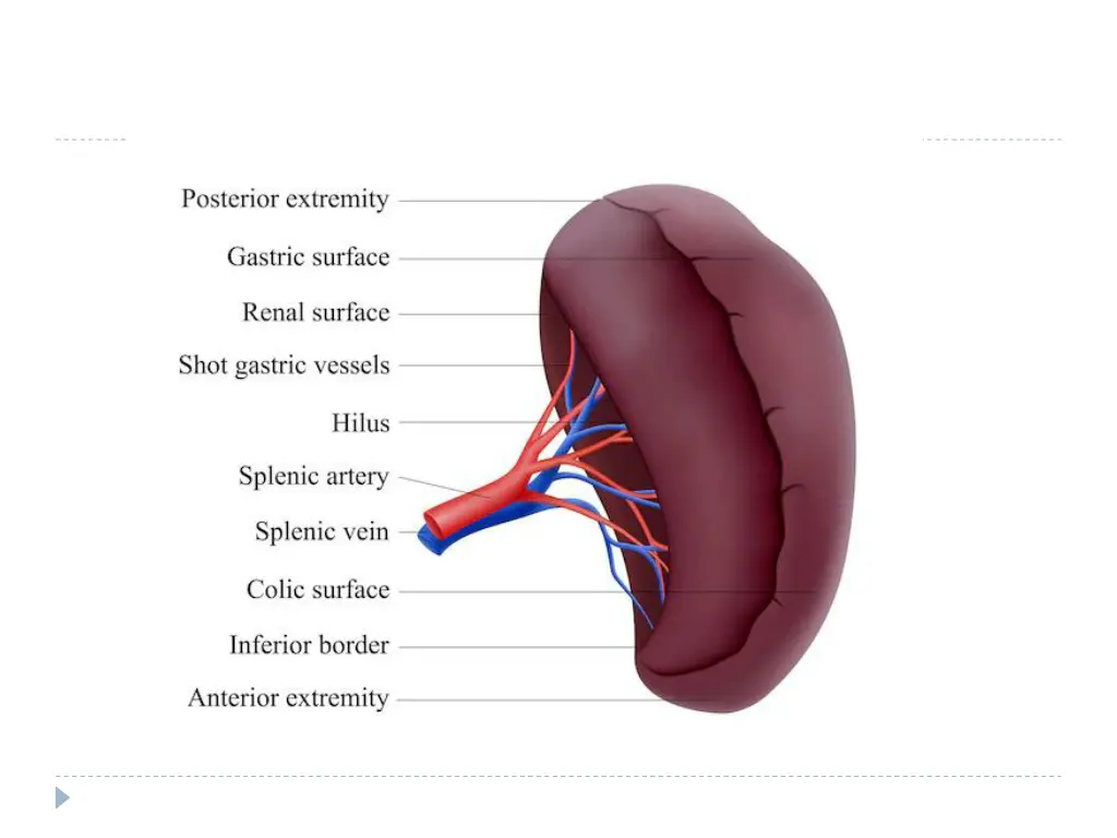 slide5