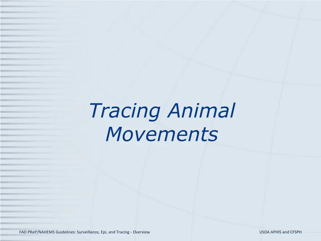tracing animal movements
