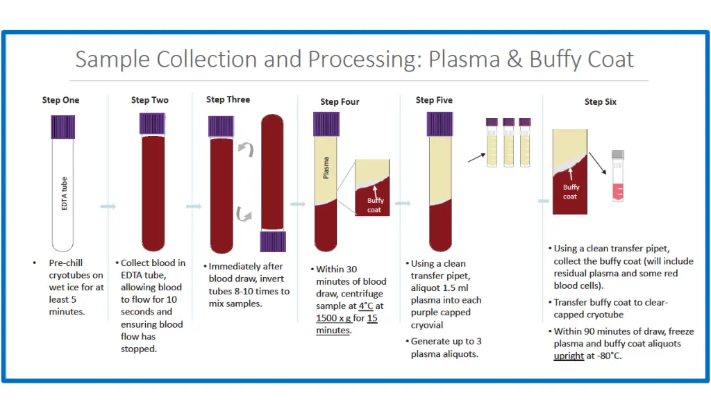 edta plasma processing