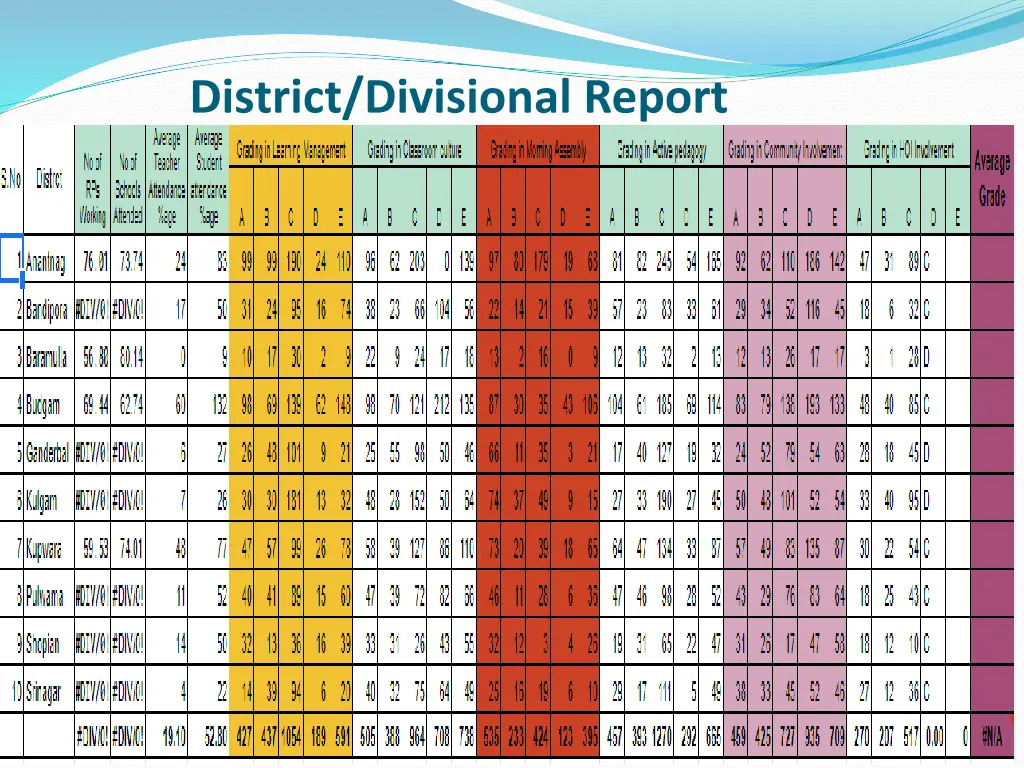 district divisional report