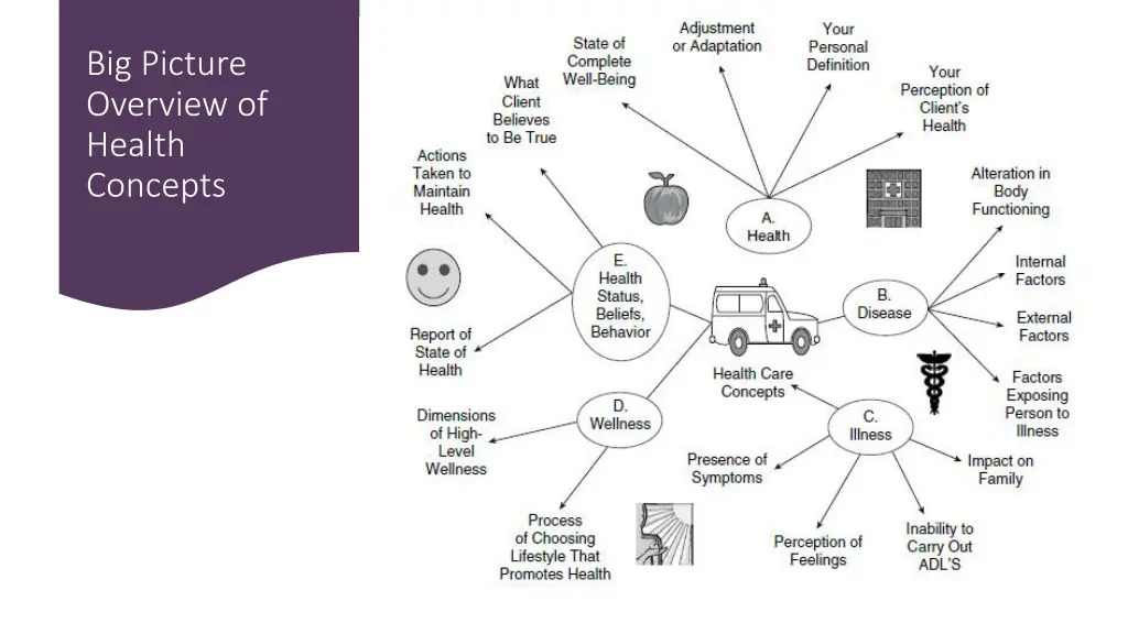 big picture overview of health concepts