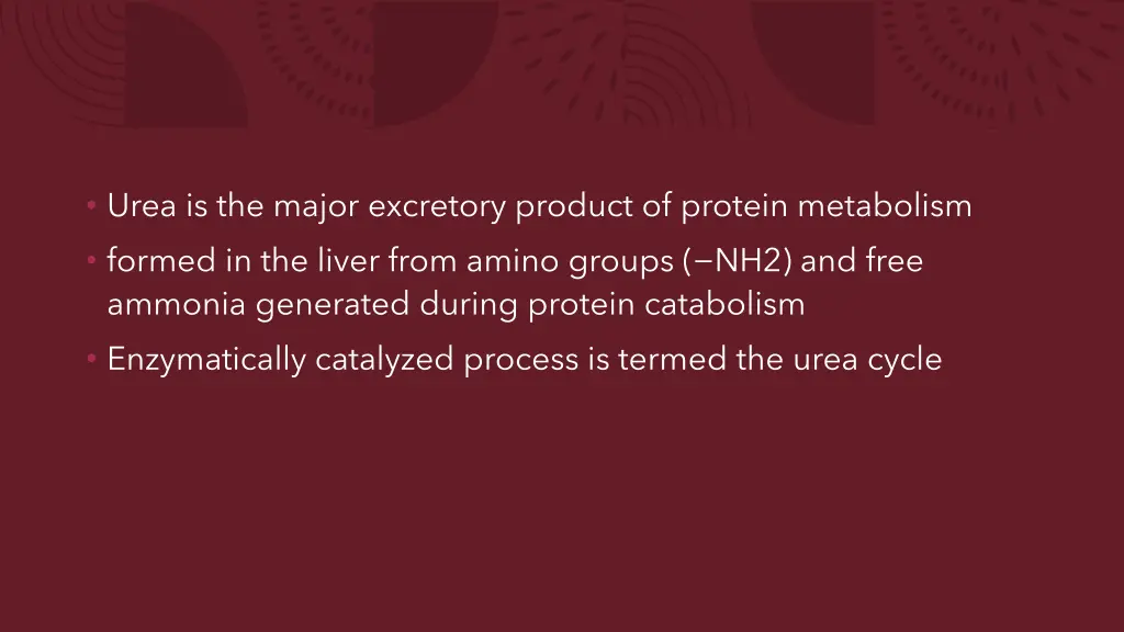 urea is the major excretory product of protein