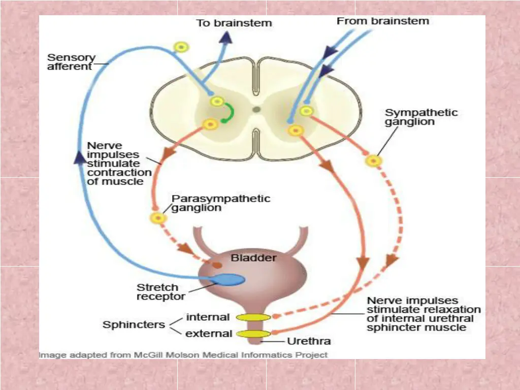 slide18