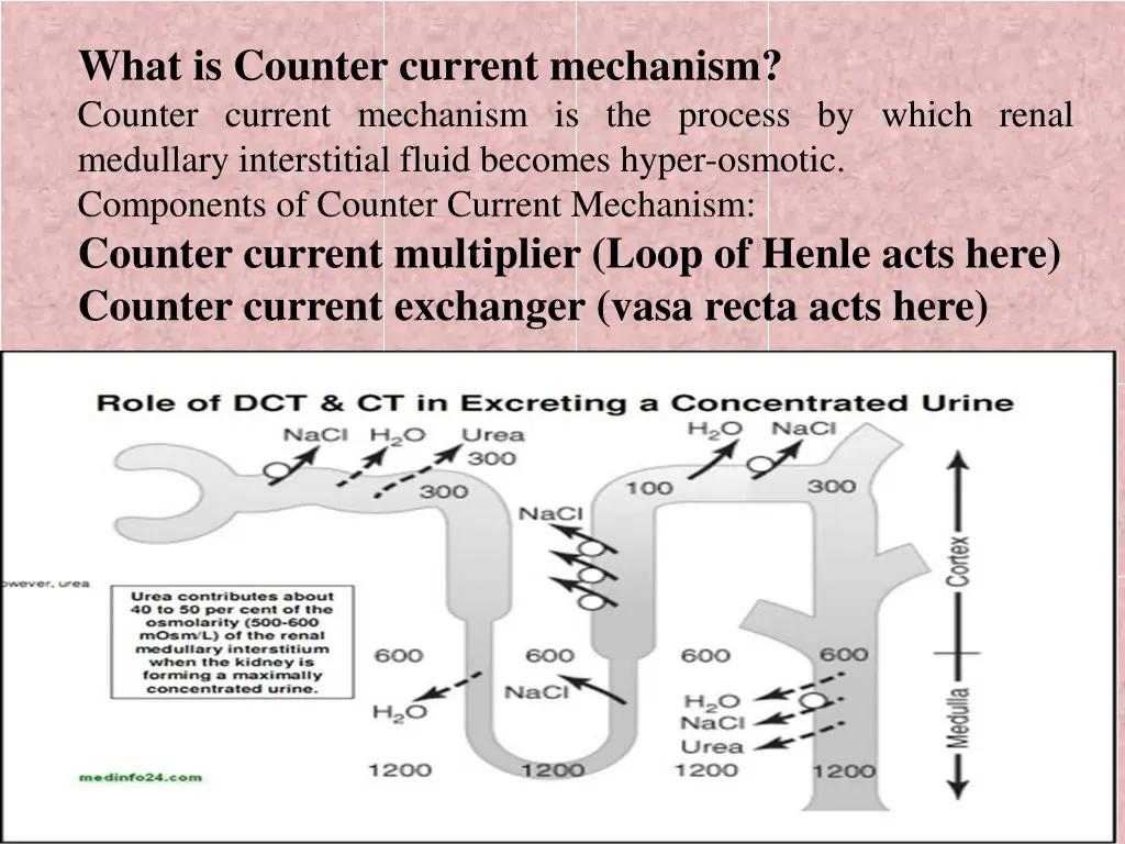 what is counter current mechanism counter current
