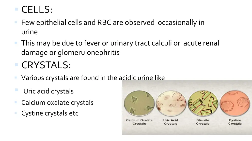 cells few epithelial cells and rbc are observed