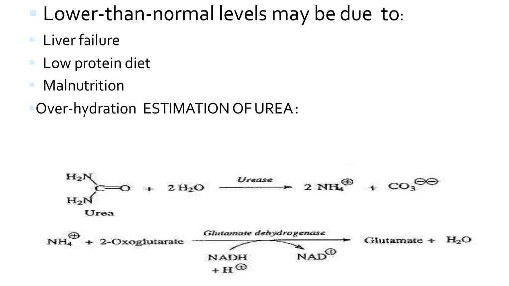 lower than normal levels may be due to liver