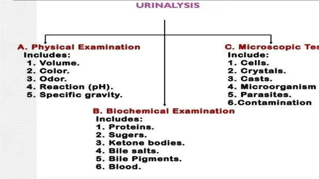slide5