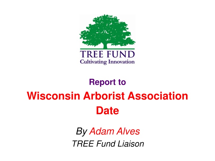 report to