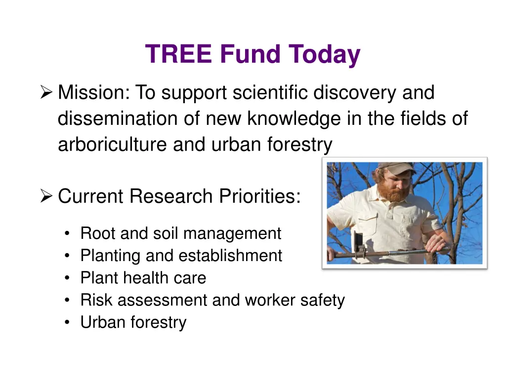 tree fund today