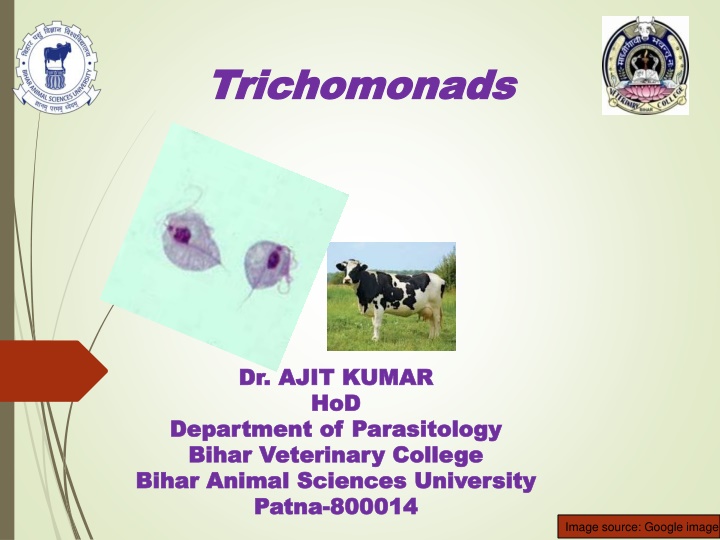 bihar animal sciences university