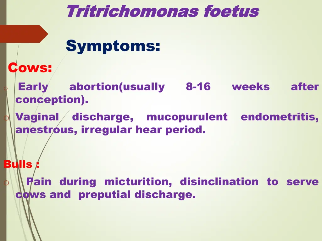 tritrichomonas tritrichomonas foetus 6