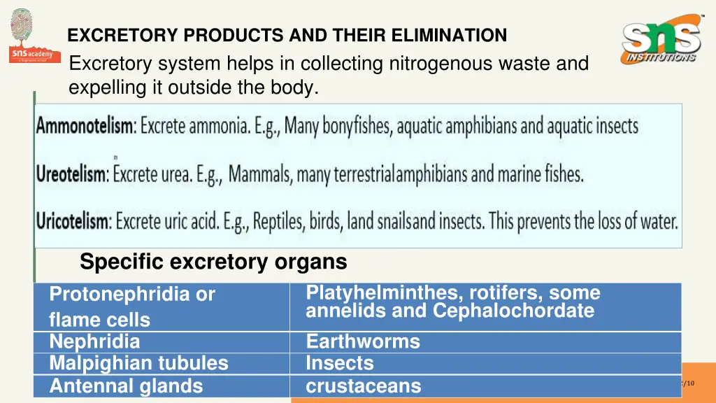 excretory products and their elimination
