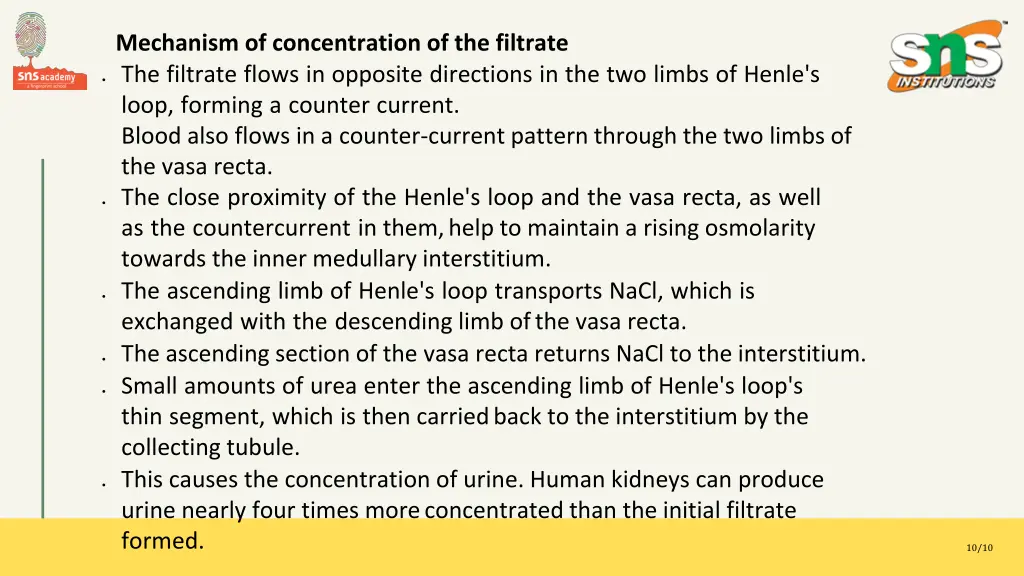 mechanism of concentration of the filtrate