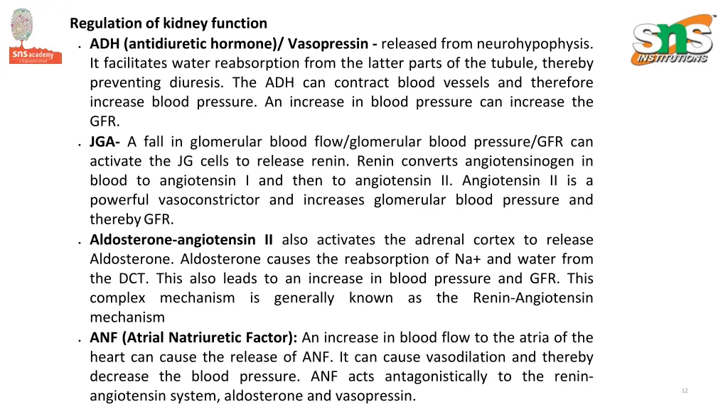 regulation of kidney function