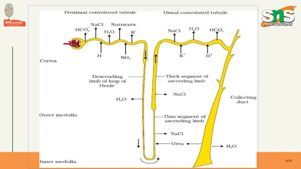slide9