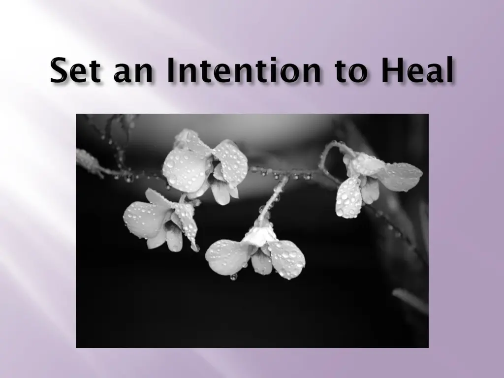 slide18