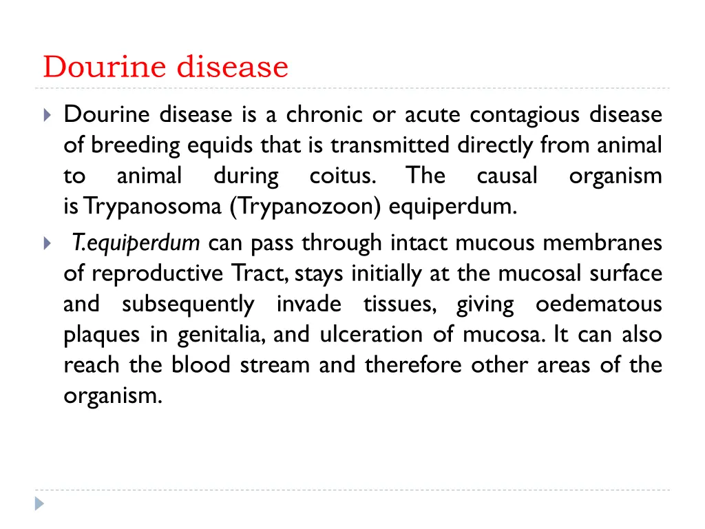 dourine disease