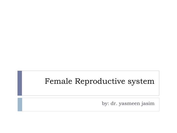 female reproductive system