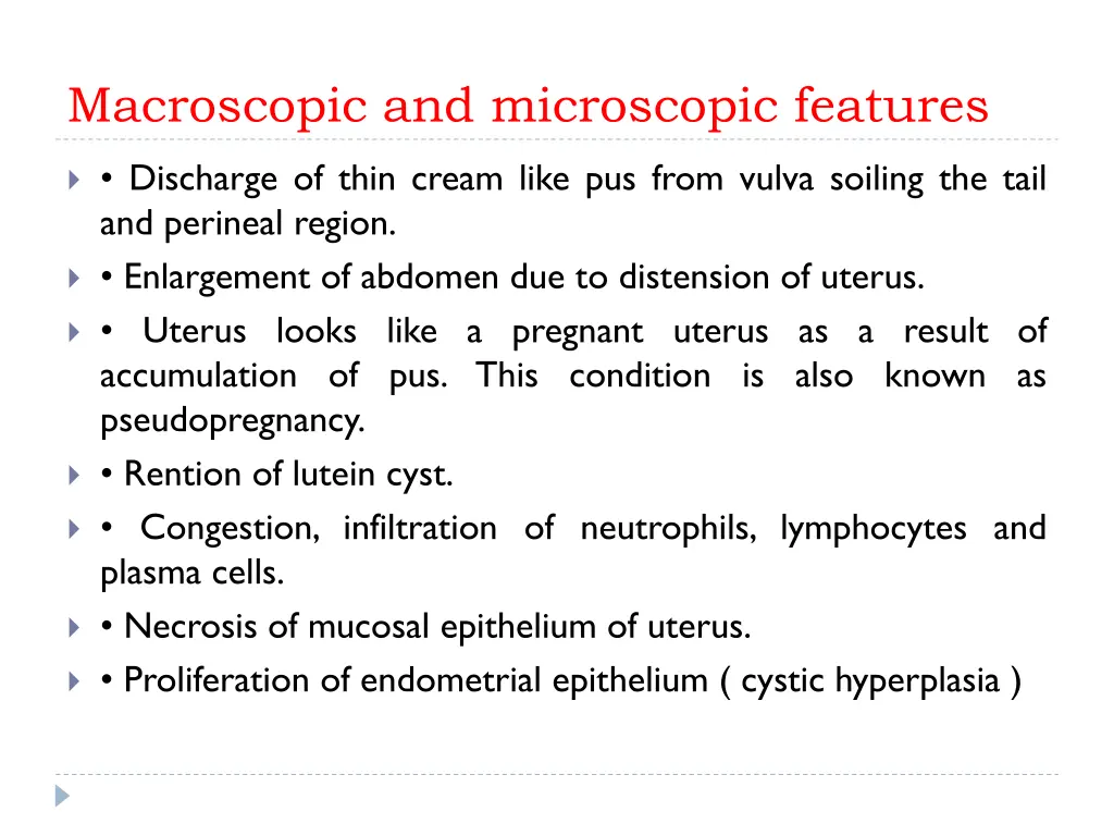 macroscopic and microscopic features 1