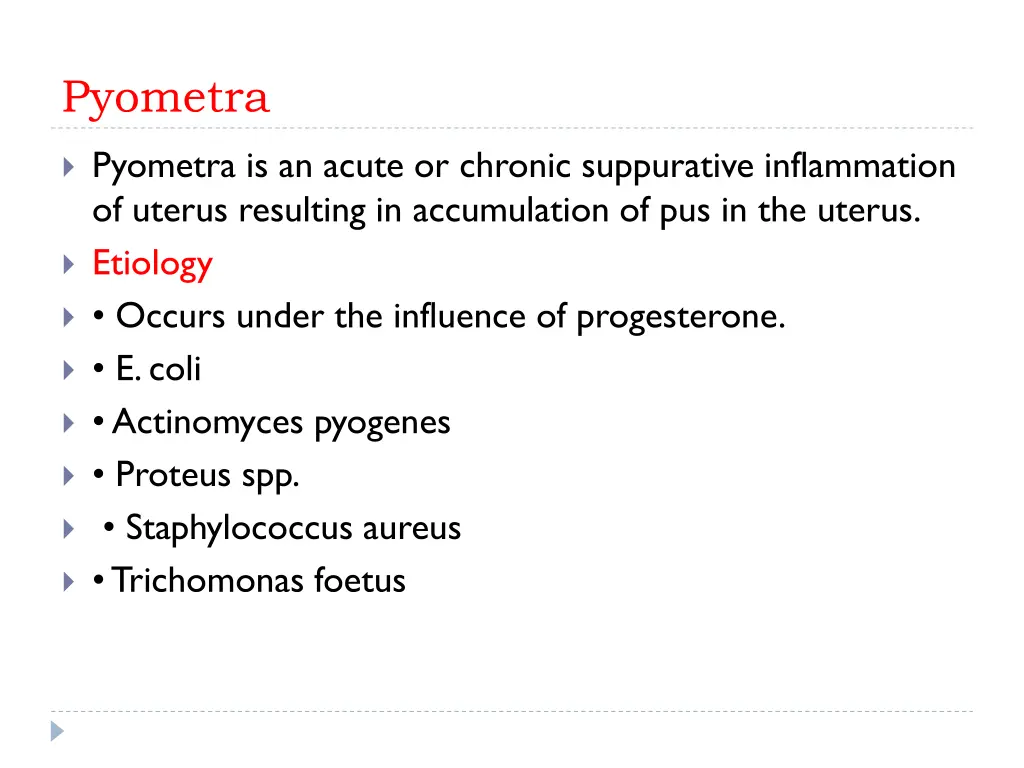 pyometra