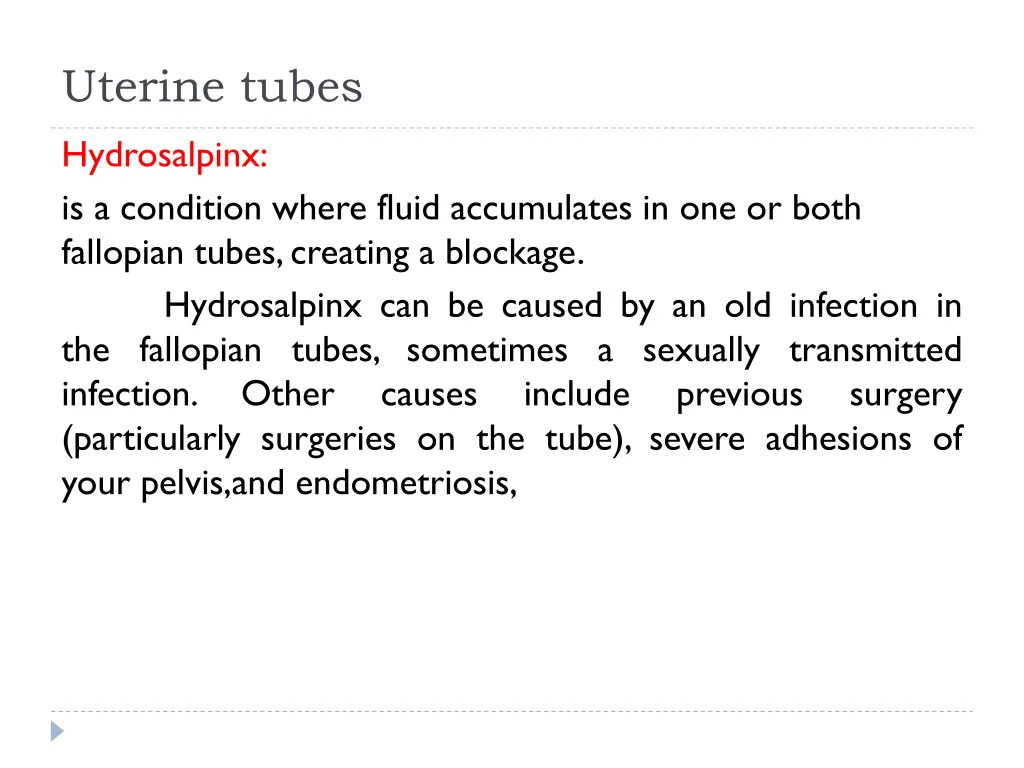 uterine tubes