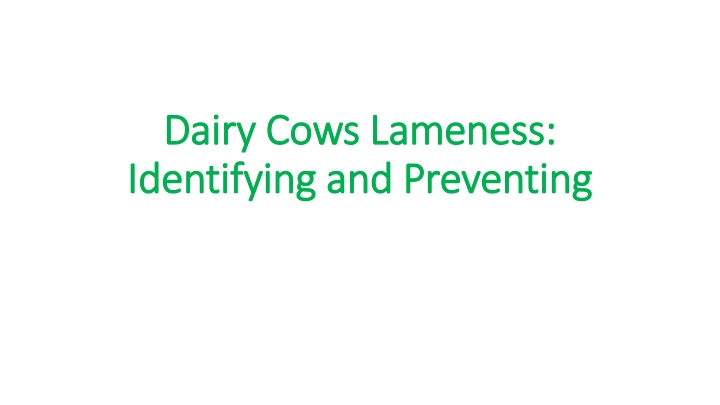 dairy cows lameness dairy cows lameness