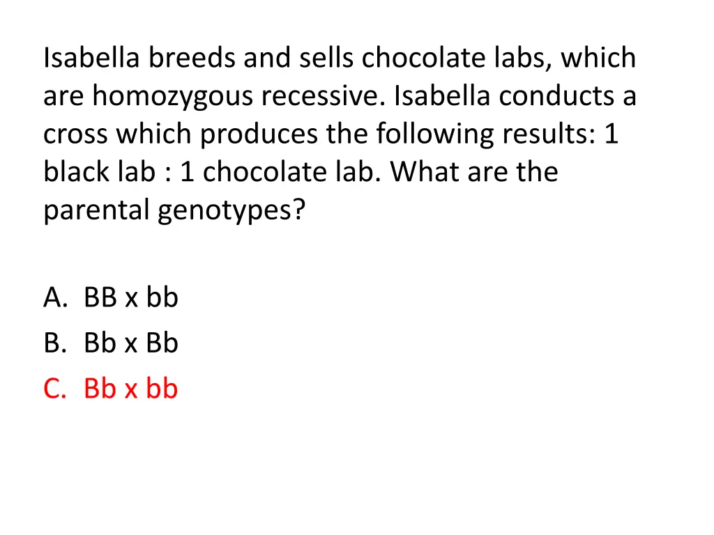 isabella breeds and sells chocolate labs which