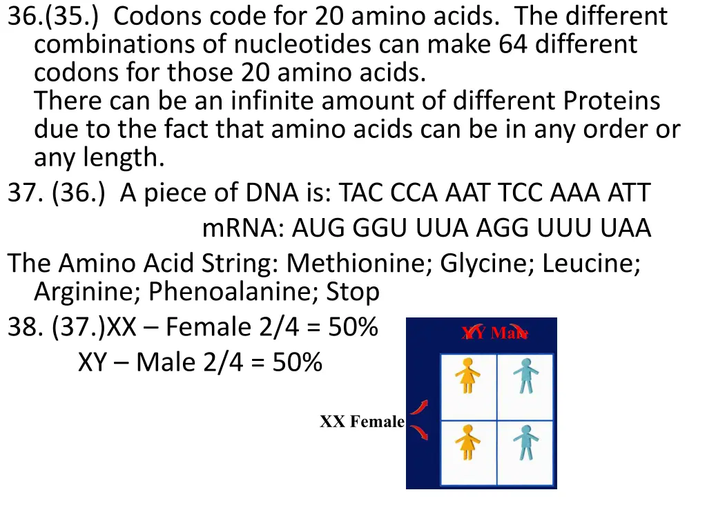 36 35 codons code for 20 amino acids