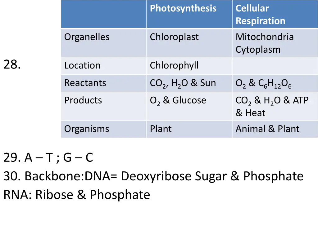 photosynthesis