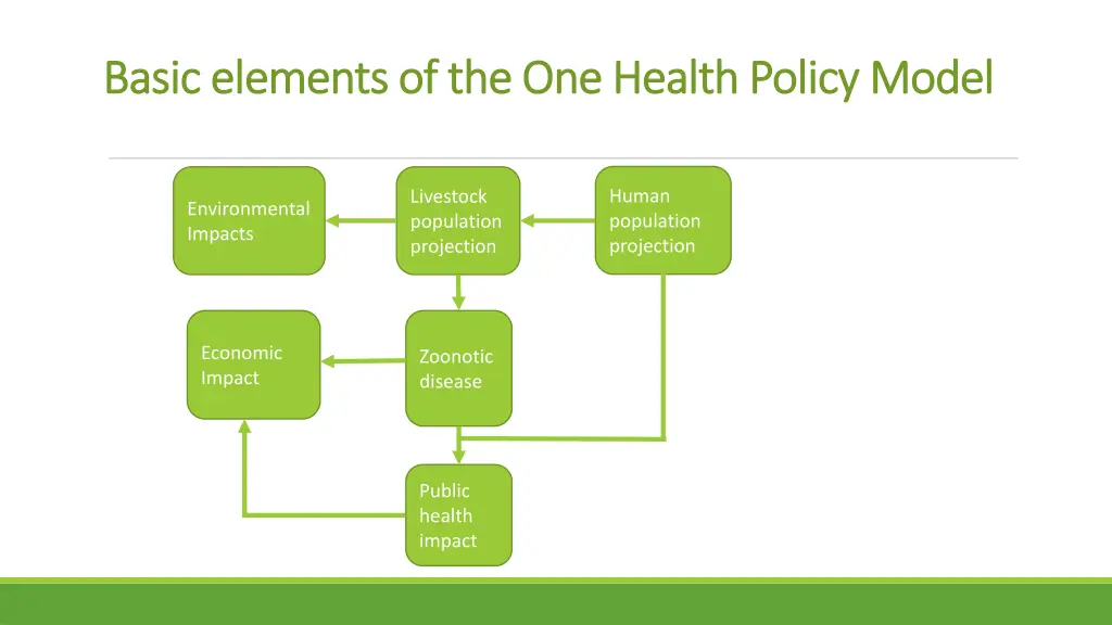 basic elements of the one health policy model