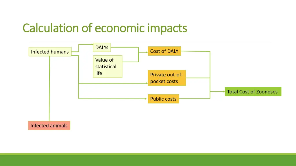 calculation of economic impacts calculation