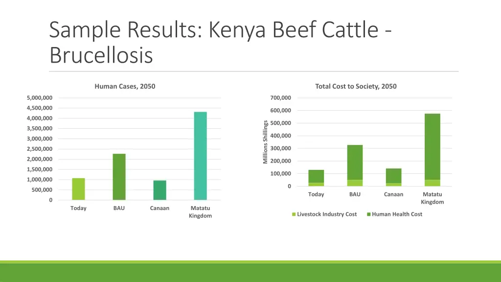 sample results kenya beef cattle brucellosis 1