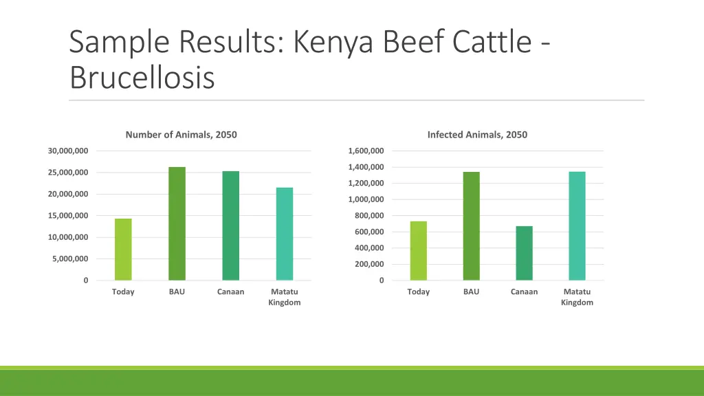 sample results kenya beef cattle brucellosis