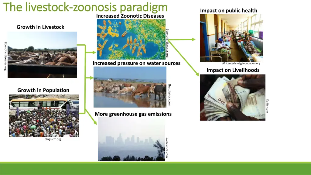 the livestock the livestock zoonosis paradigm