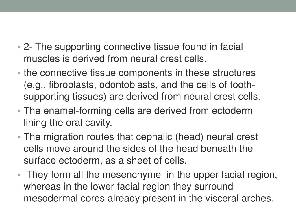 2 the supporting connective tissue found
