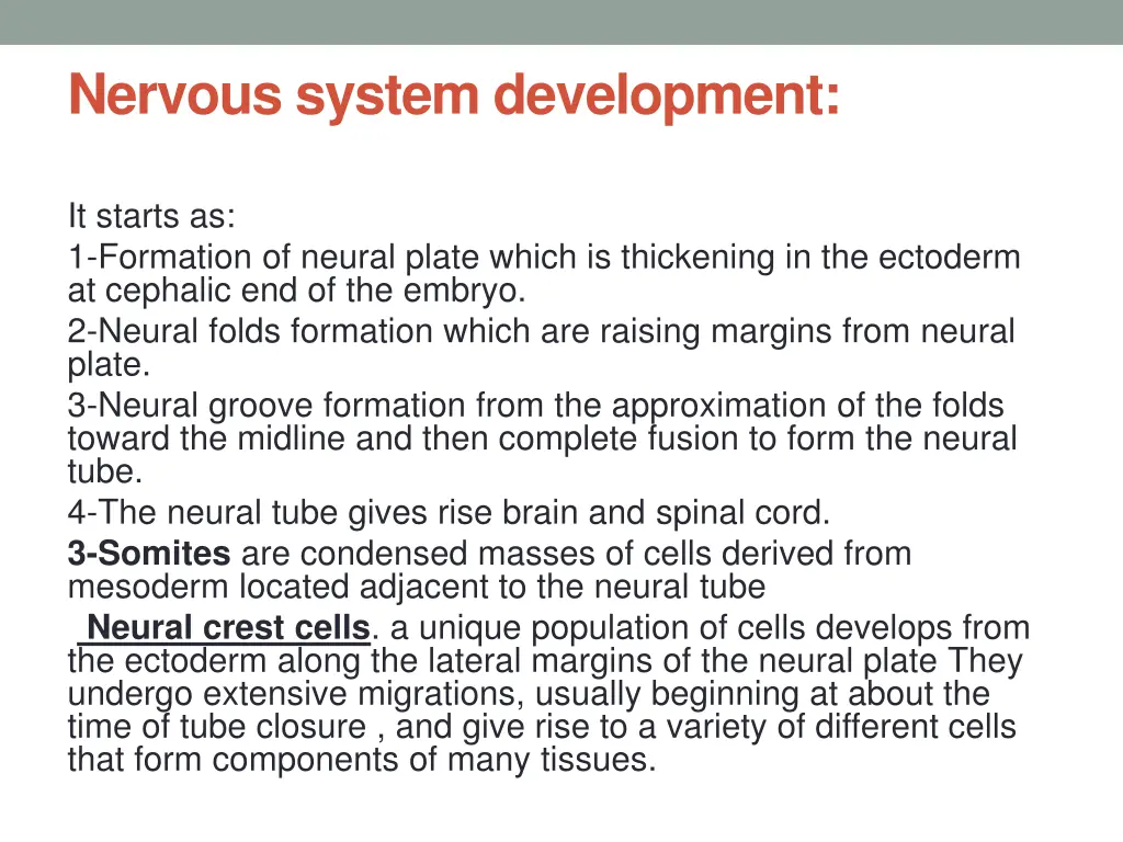 nervous system development