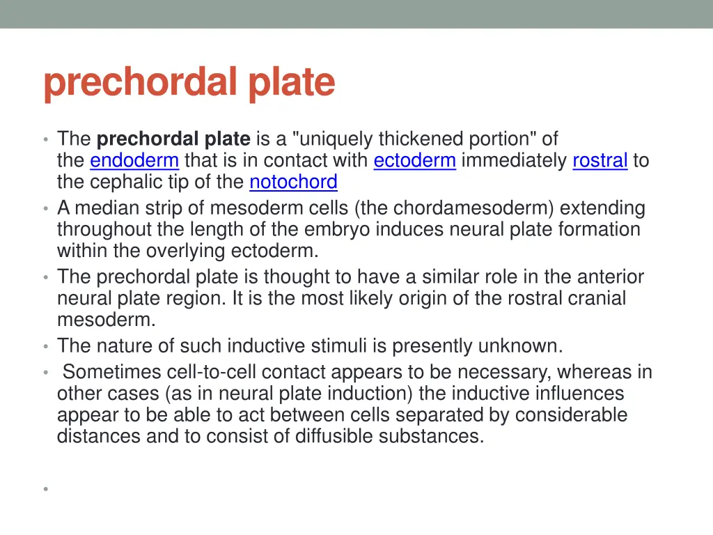 prechordal plate