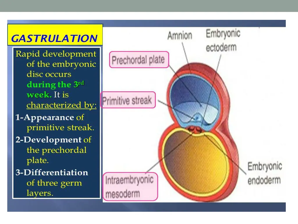 slide7