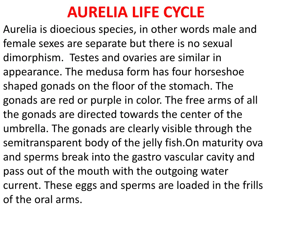 aurelia life cycle aurelia is dioecious species