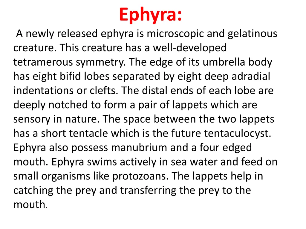ephyra