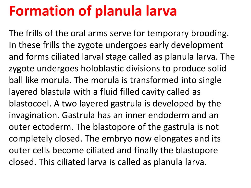 formation of planula larva the frills of the oral
