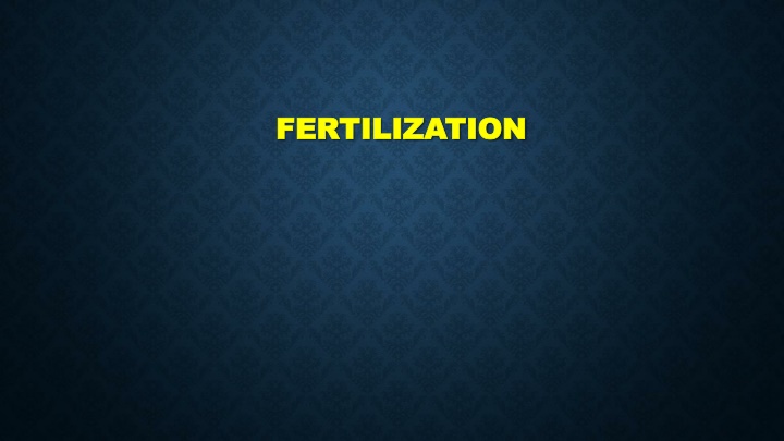 fertilization fertilization
