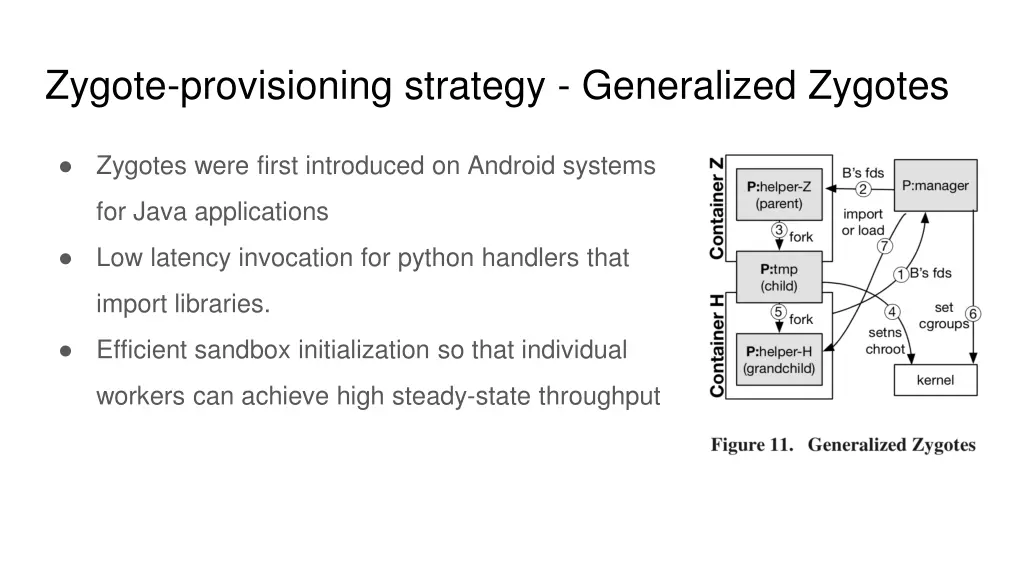 zygote provisioning strategy generalized zygotes