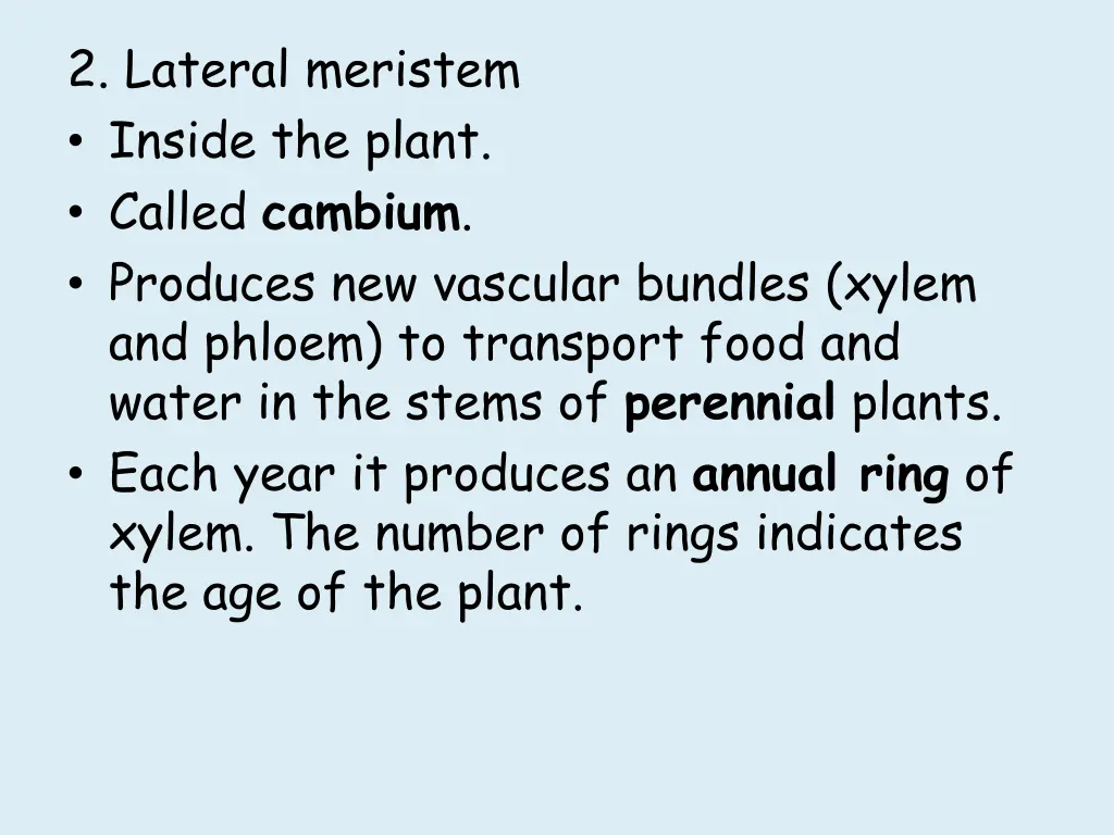 2 lateral meristem inside the plant called