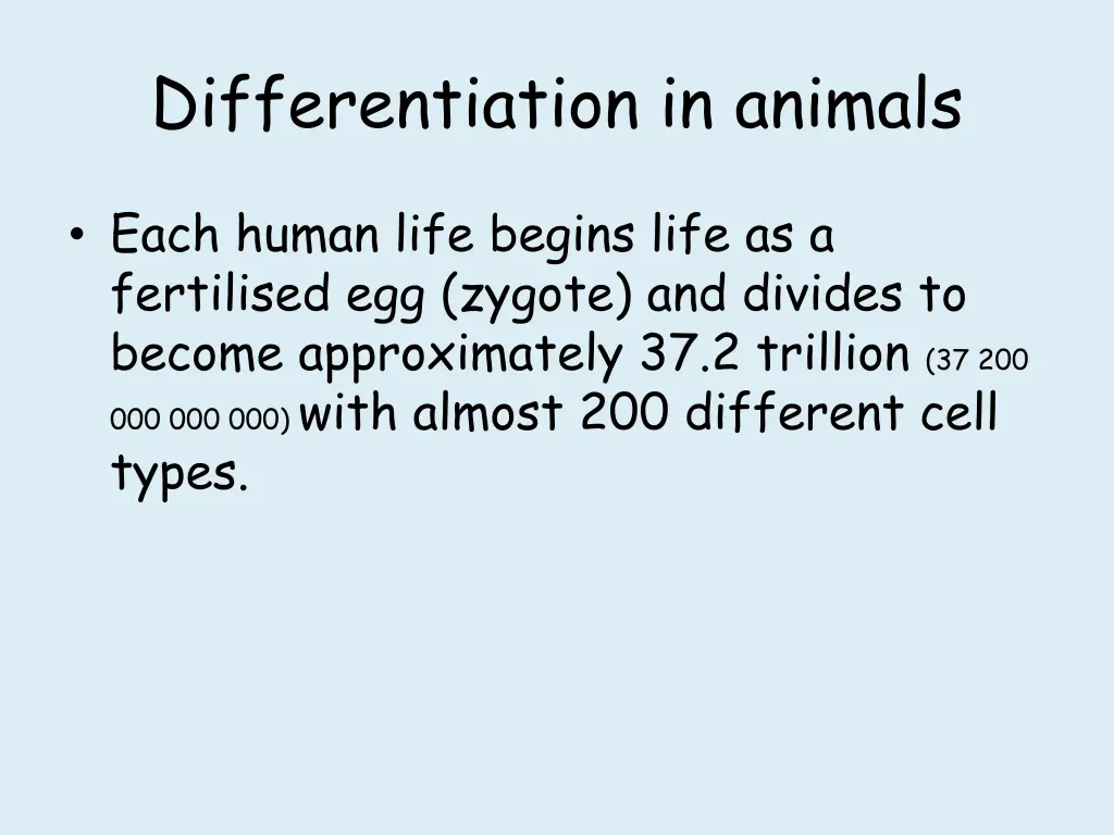 differentiation in animals