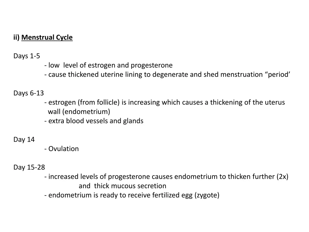 ii menstrual cycle