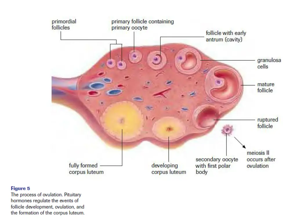 slide9